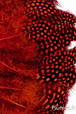 Parelhoen - 7-13 cm - oranje rood